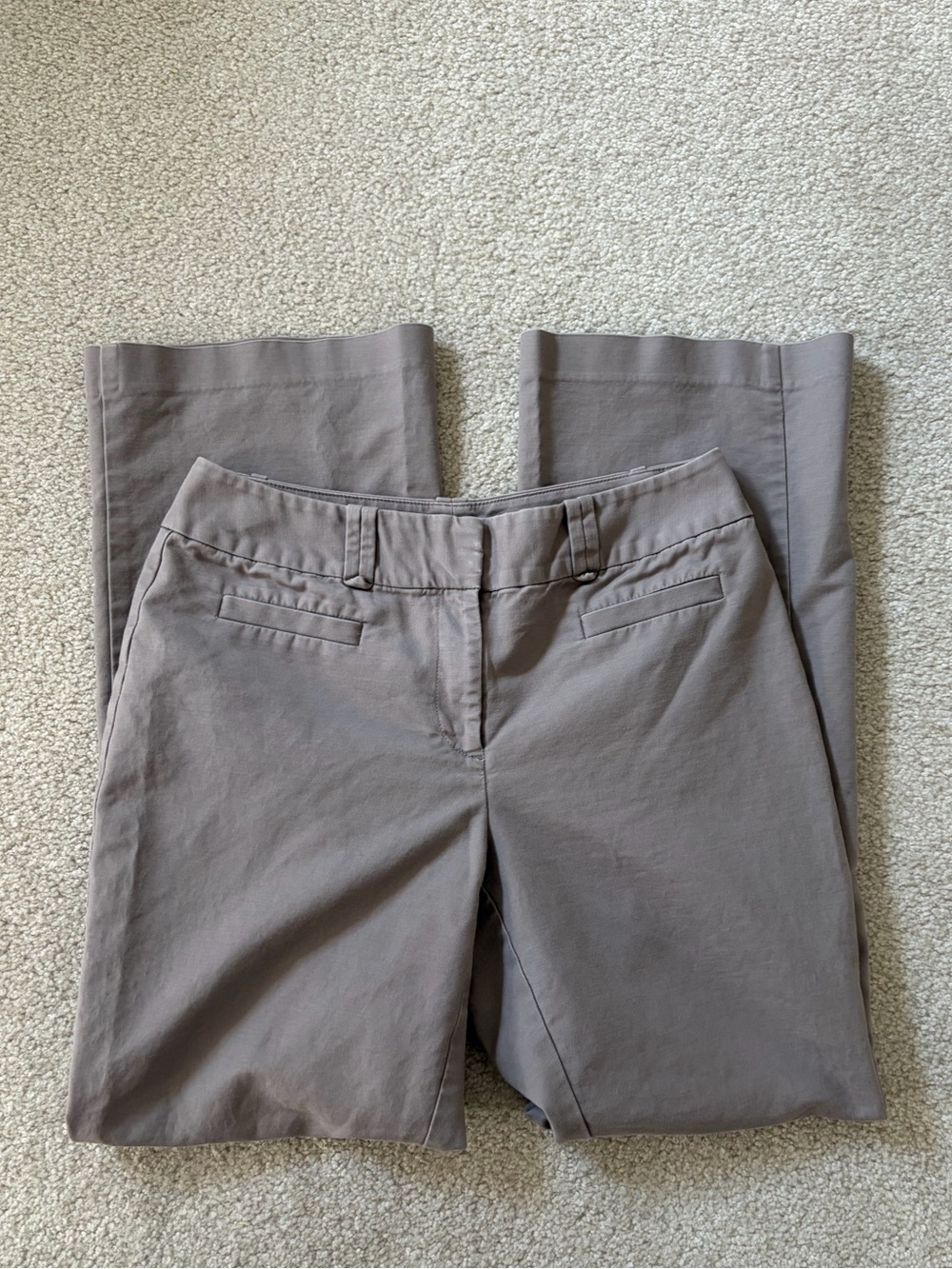 Ann Taylor Women’s Classic Chino Trouser in Mocha